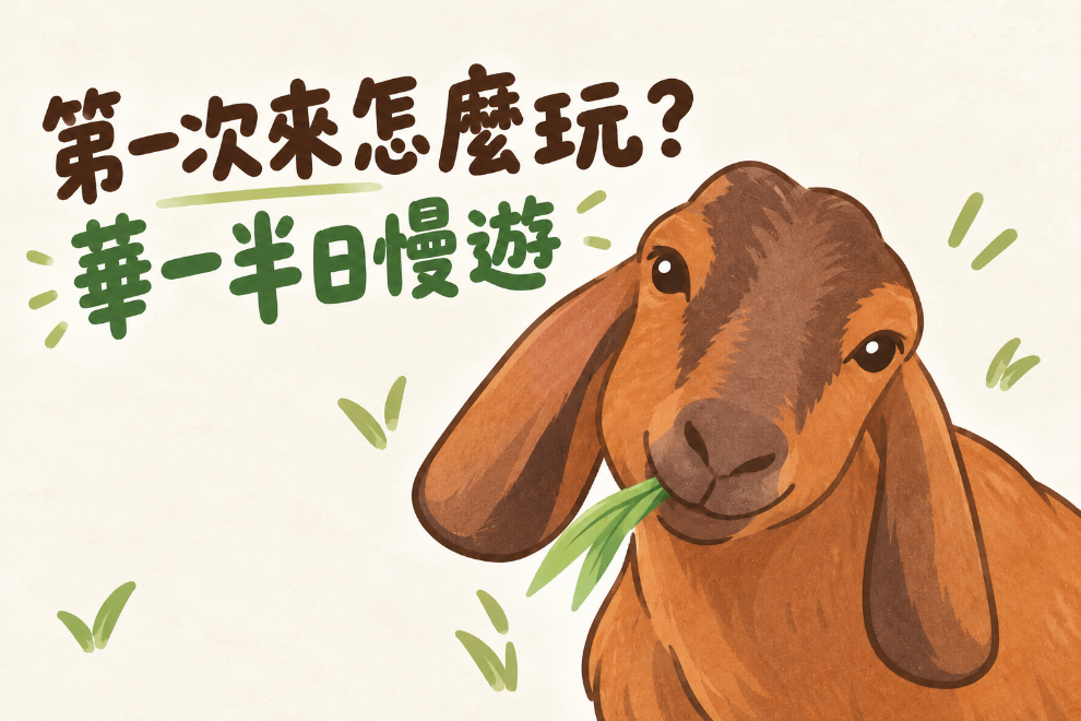 第一次來華一休閒農場怎麼玩？跟著我們走一趟大樹半日慢遊