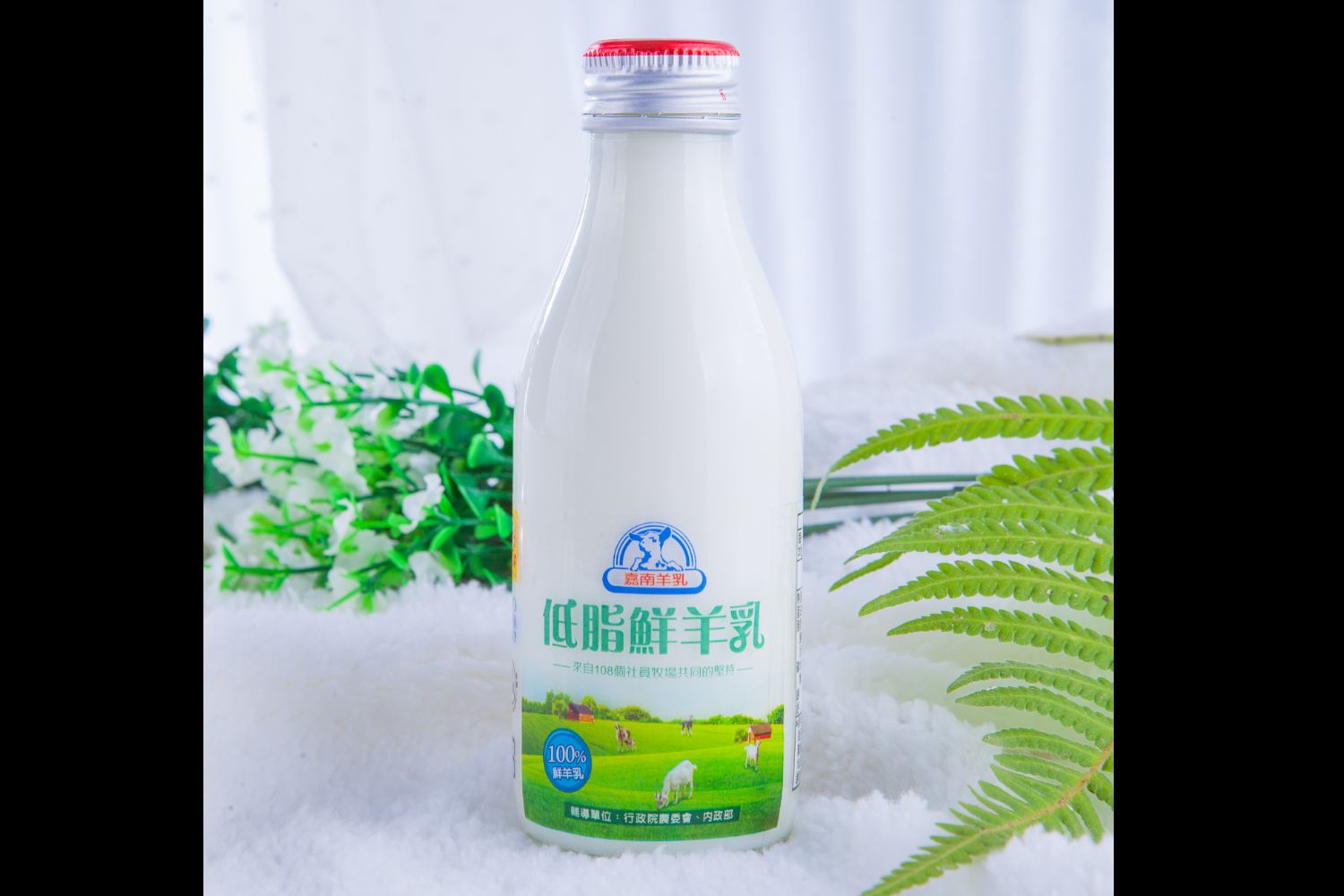 低脂鮮羊奶