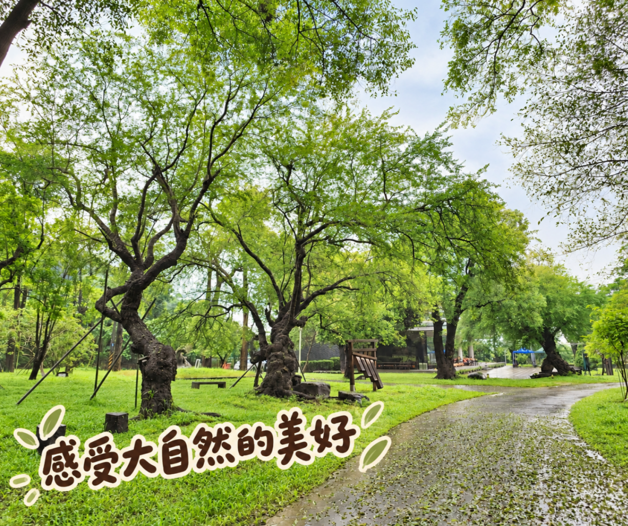 華一休閒農場樹蔭步道與台灣原生樹木